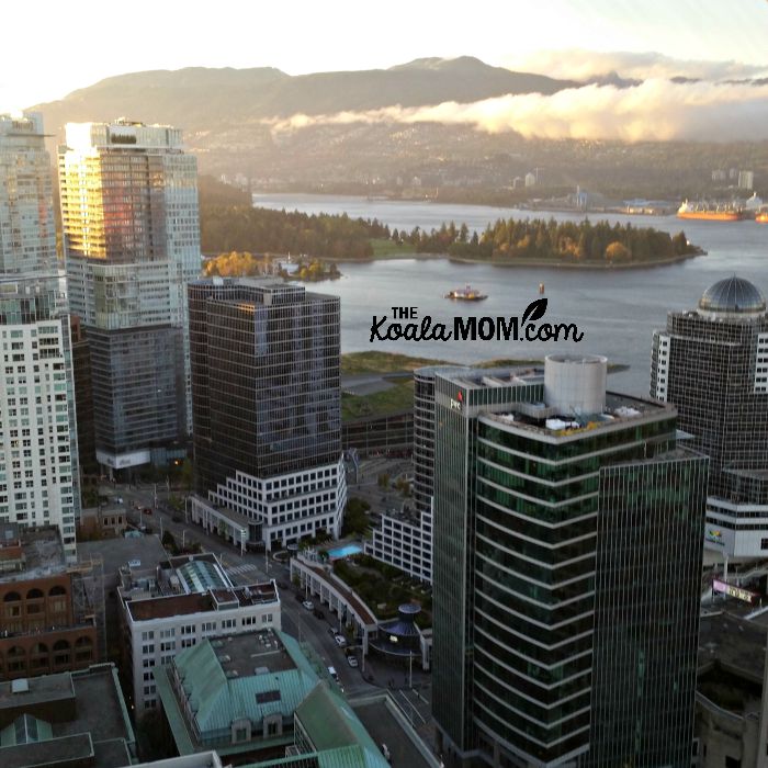 Looking down at Stanley Park from the Vancouver Lookout