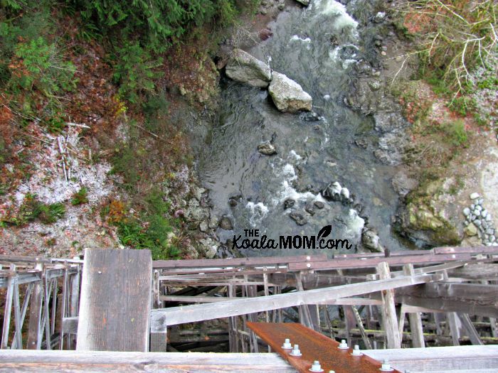 The creek below the Kinsol Trestle