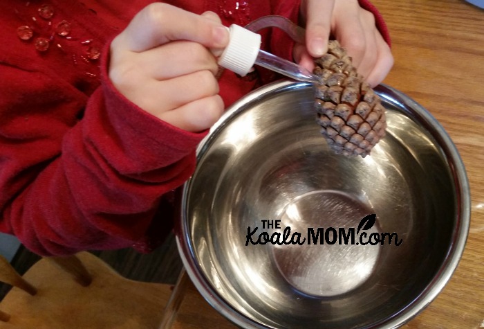 Sunshine adding scented oil to a pine cone