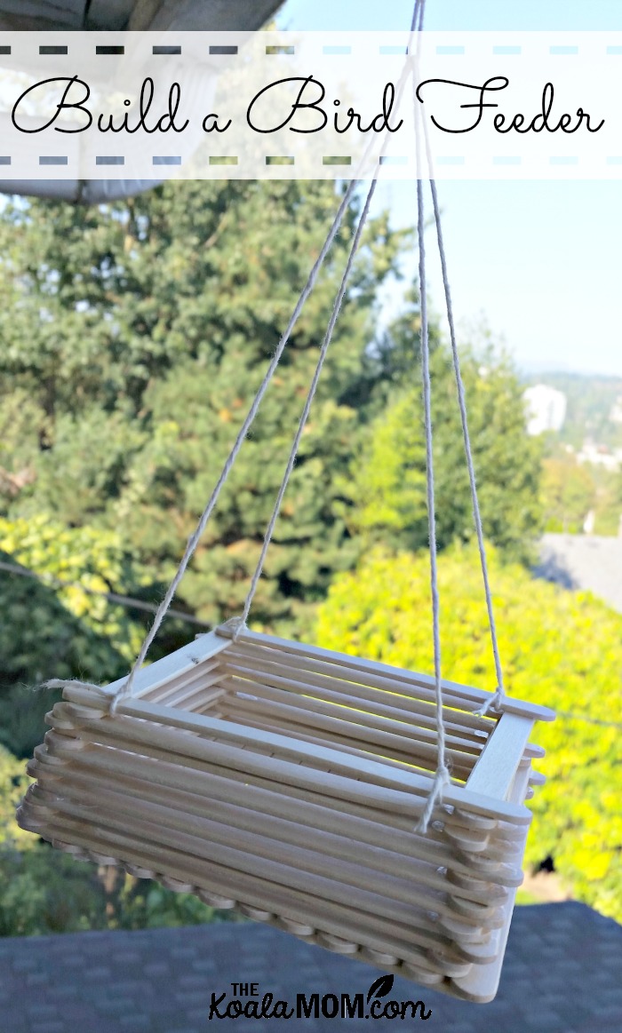 Build a bird feeder out of popsicle sticks