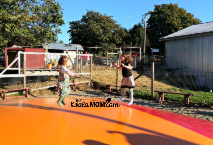 Jade and Lily jump on the jumpy thing at Taves Family Farm