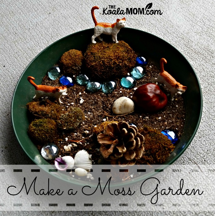 Make a moss garden (also known as a fairy garden)