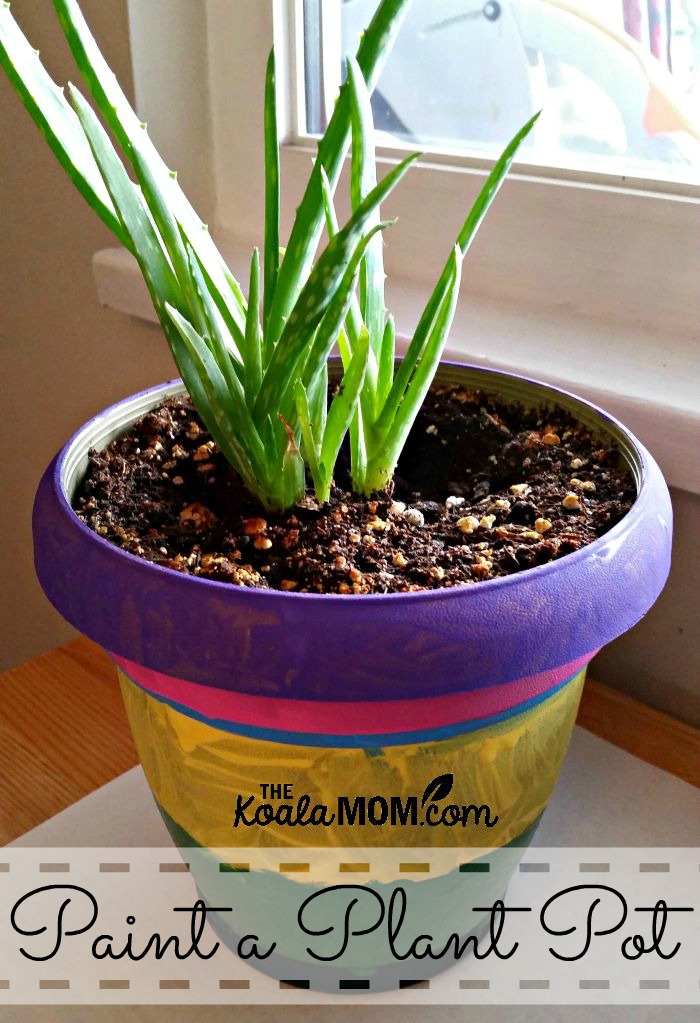 Painted plant pot with an aloe plant in it