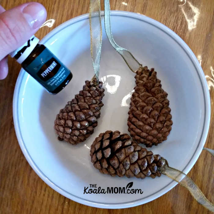 Pine cones scented with peppermint essential oil