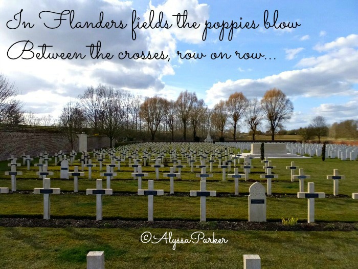 Rows of crosses in a war cemetery in France