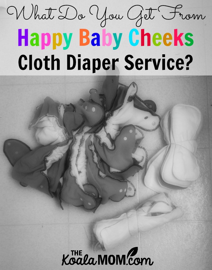 What Do You Get From Happy Baby Cheeks Cloth Diaper Service?