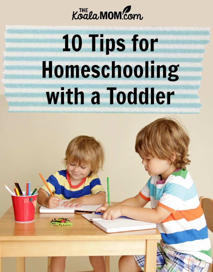 10 Tips for Homeschooling with a Toddler • The Koala Mom