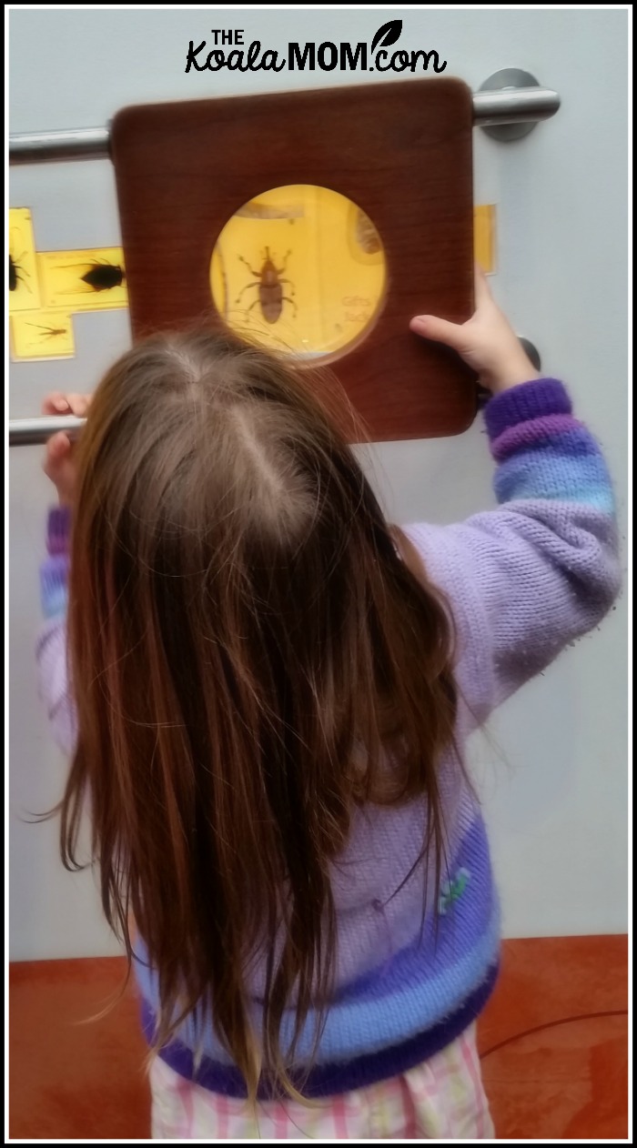 Jade looking at beetles with magnifying glass at Telus World of Science