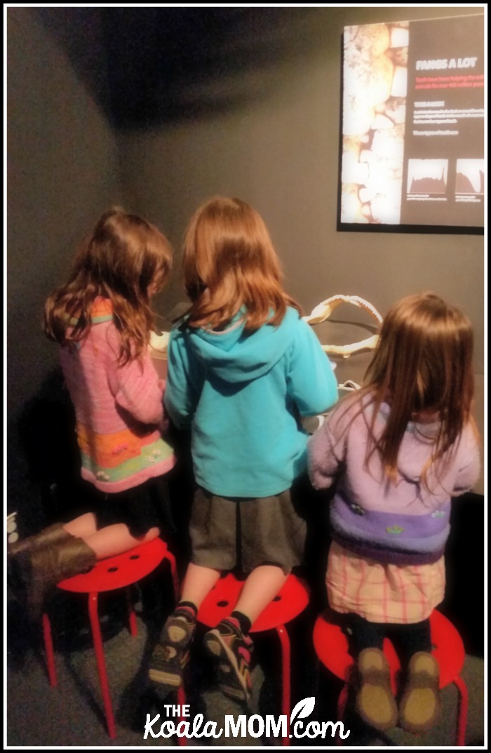 Girls playing with the hands-on items at BodyWorlds at Telus World of Science in Vancouver