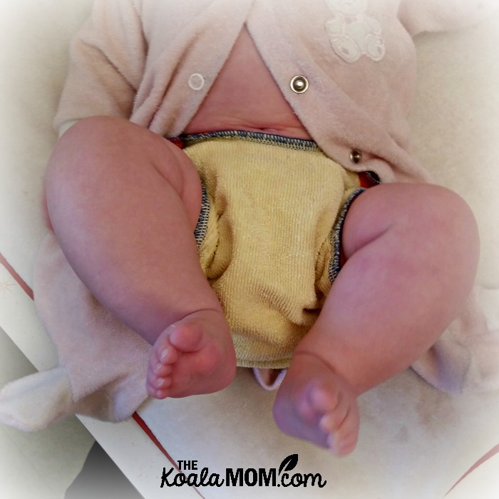 Happy Baby Cheeks cloth diaper