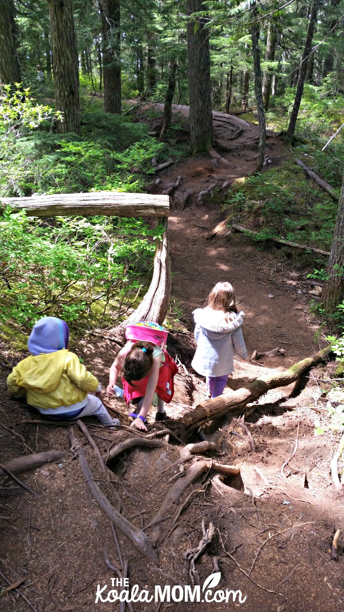 The girls hiking the Lookback Loop trail at the Sea to Sky Gondola