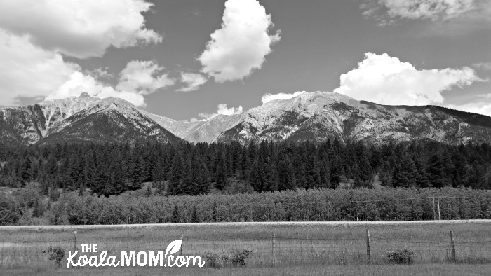 Mountain scenery near Canmore, Alberta