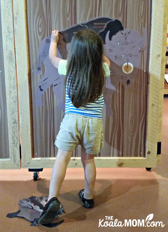 Toddler doing the bison puzzle at Rocky Mountain House National Historic Site