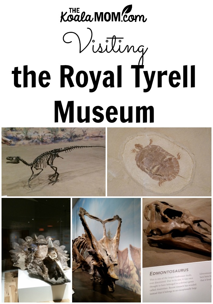 Visiting the Royal Tyrell Museum in Drumhellar, Alberta