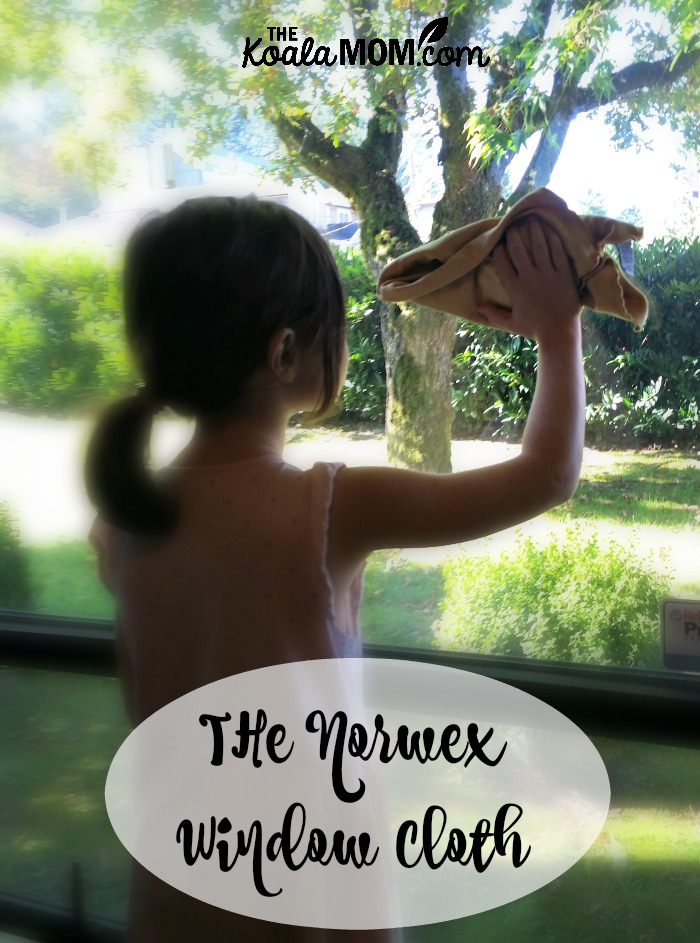6-year-old washing a window with the Norwex window cloth