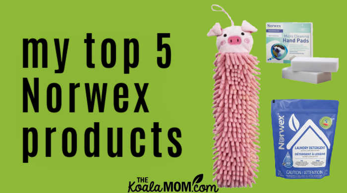 My Favorite and Best Selling Norwex Products - Work With Water