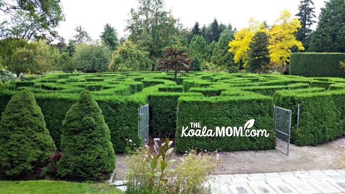 The maze at VanDusen Gardens in Vancouver