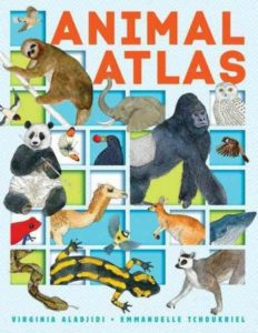 Animal Atlas