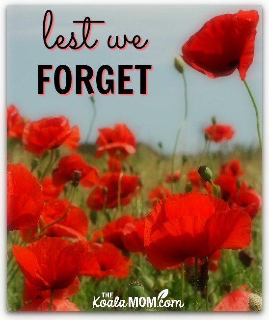 Lest we forget: resources for Remembrance Day in Vancouver