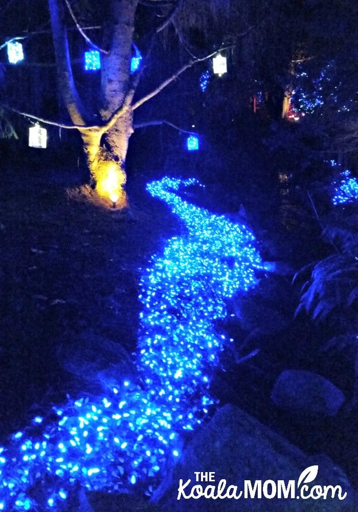 Festival of Lights at Van Dusen Gardens in Vancouver