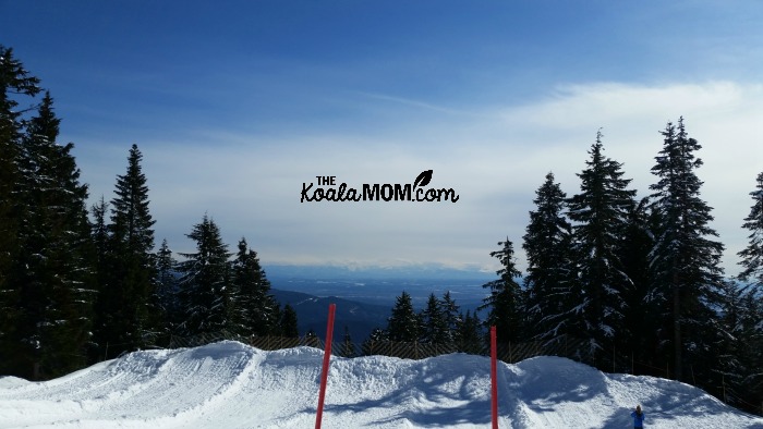 The view from the sledding area at Mount Seymour