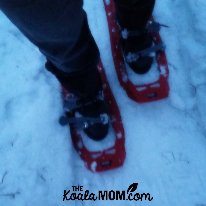 Mountain snowshoes for my snowshoe tour at Cypress Mountain