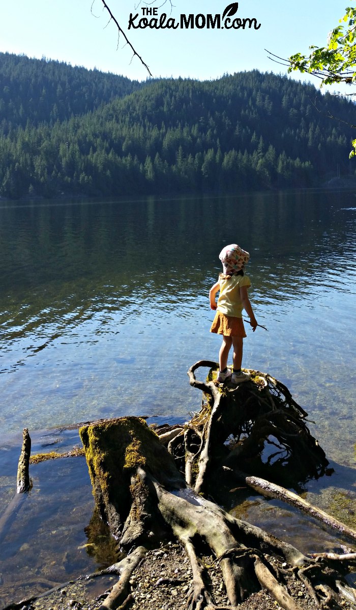 Toddler standing on a root next to Buntzen Lake