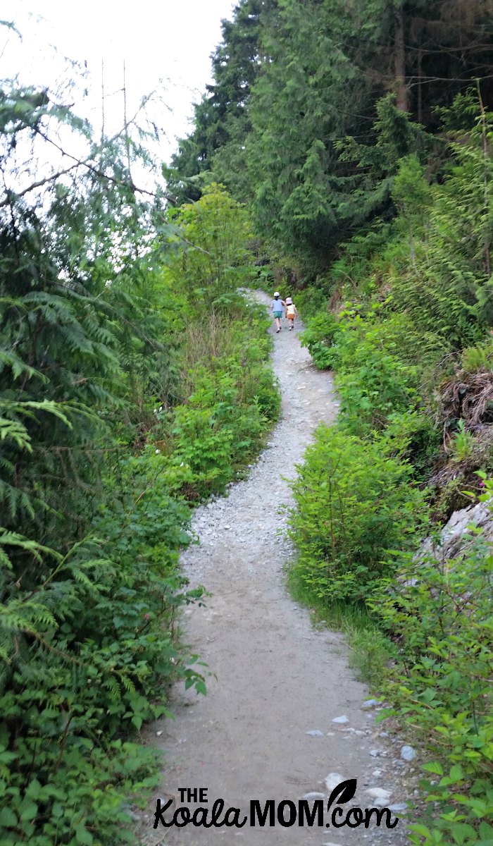 The trail along the west side of Buntzen Lake