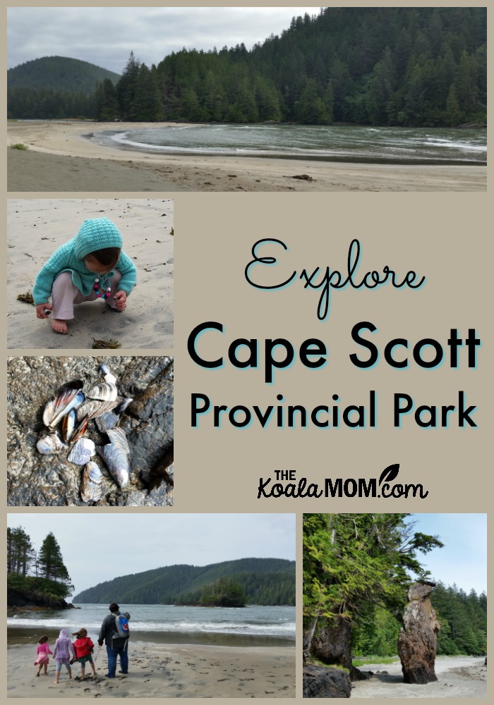 Explore Cape Scott Provincial Park