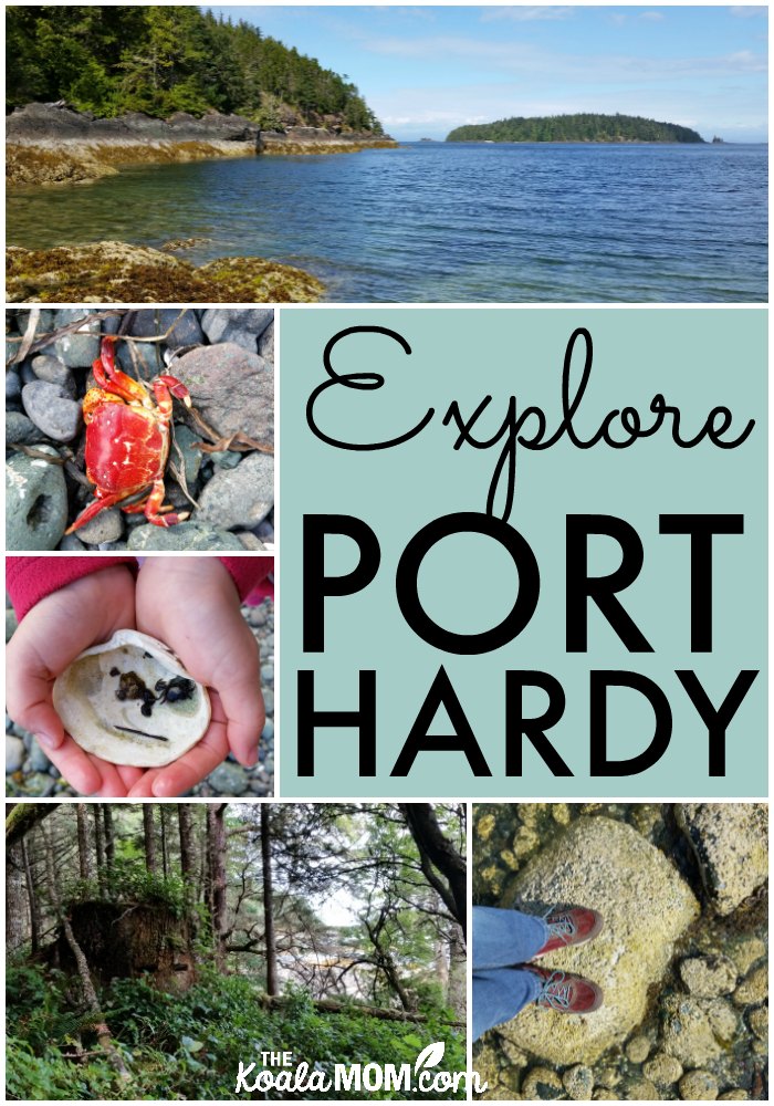 Explore Port Hardy, BC