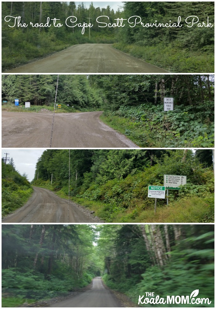 The road to Cape Scott Provincial Park