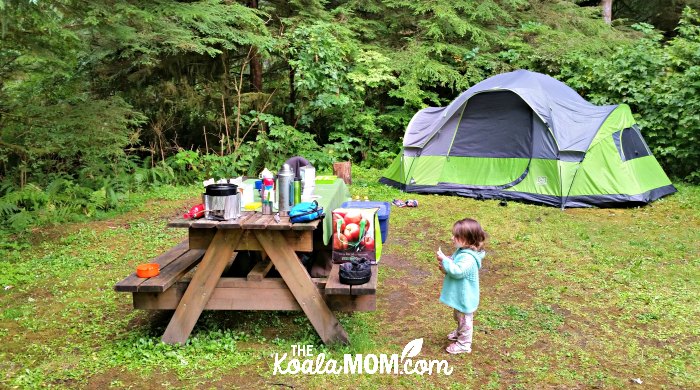 Our camping site at the Quatse River Campground in Port Hardy, BC