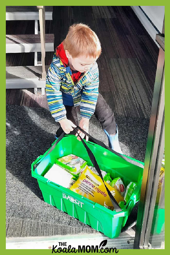 Boy carrying green grocery bin inside the house.