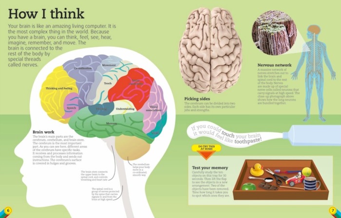 How I think page from Utterly Amazing Human Body book