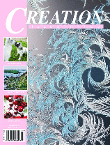 Creation Illustrated Winter 2018 issue, available for free digital download