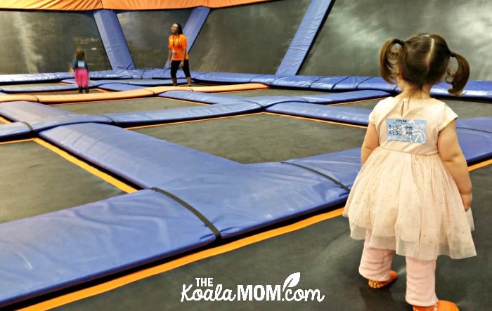 Toddler watching her sister bounce on the trampolines at SkyZone.