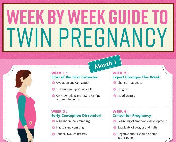 Week by Week Guide to Twin Pregnancy • The Koala Mom