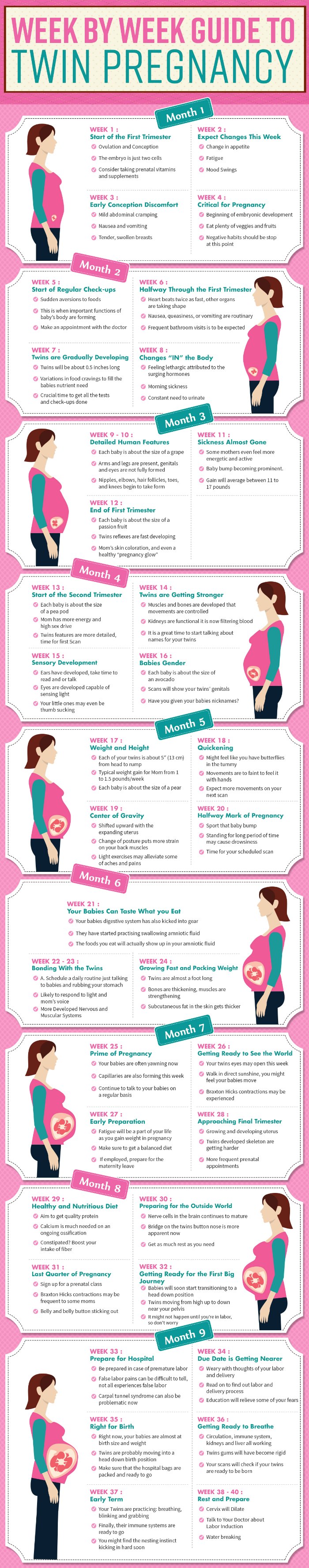 Week by Week Guide to Twin Pregnancy