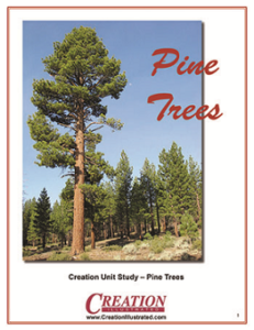 Pine Trees Unit Study by Creation Illustrated