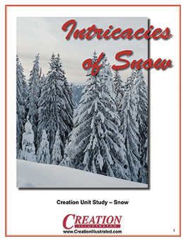 Intricacies of Snow - one of the nature unit studies from Creation Illustrated