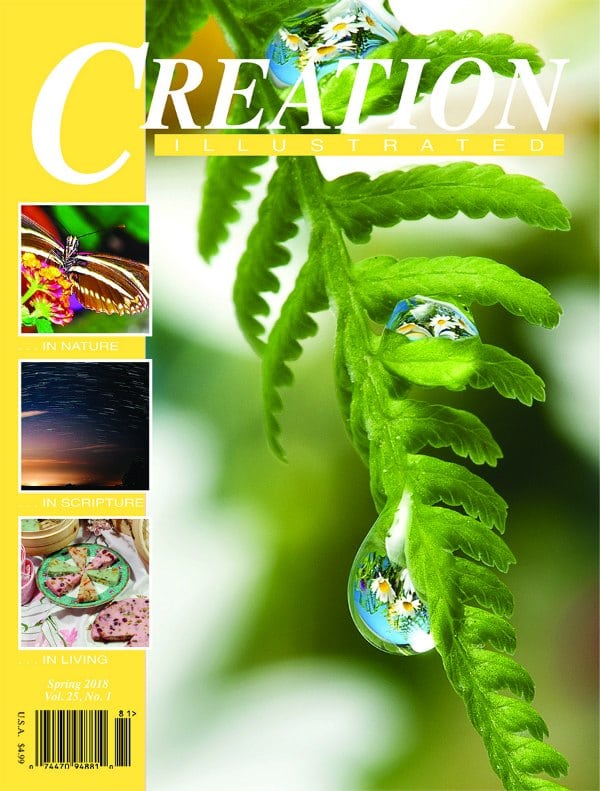 Creation Illustrated Spring 2018 issue, with a unit study on butterflies