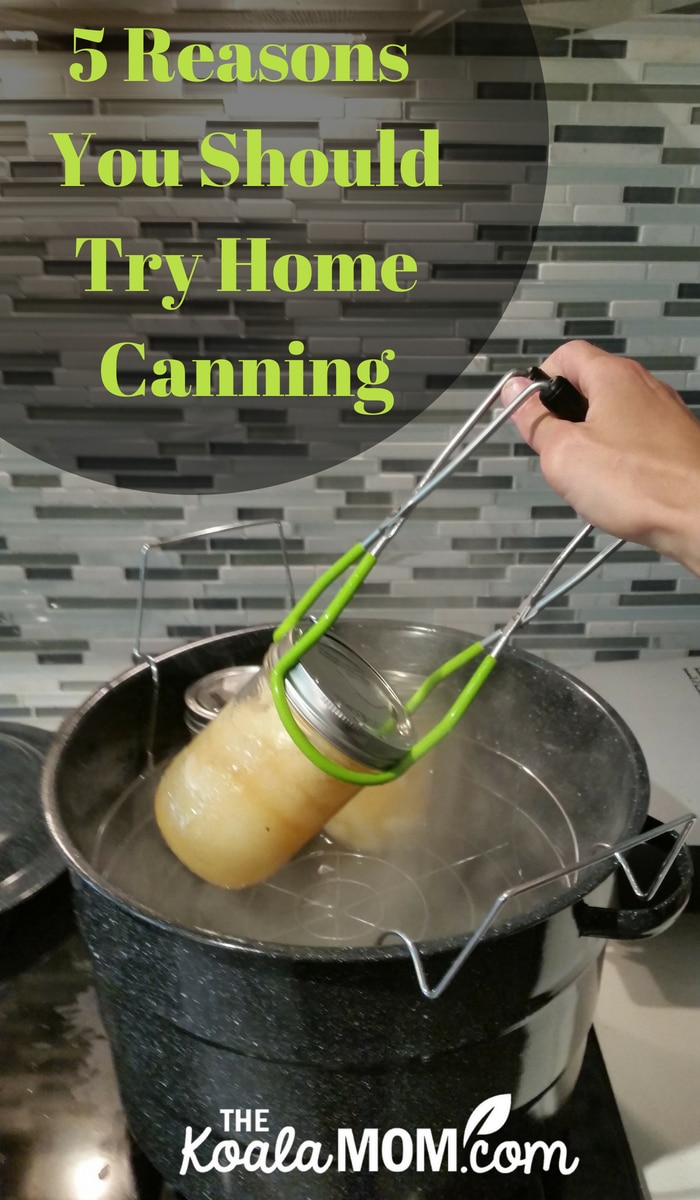 5 Reasons You Should Try Home Canning