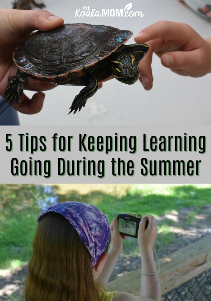 5 Tips for Keeping Learning Going During the Summer
