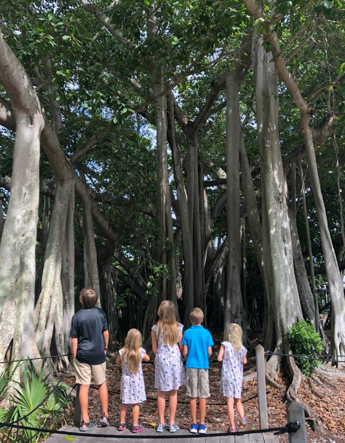 Amber Shimel's five children.