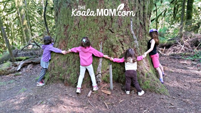 Four girls around the big cedar at Cultus Lake