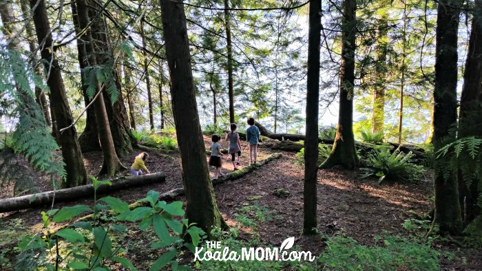 The Way girls explore the woods near their campsite in Cultus Lake, BC.