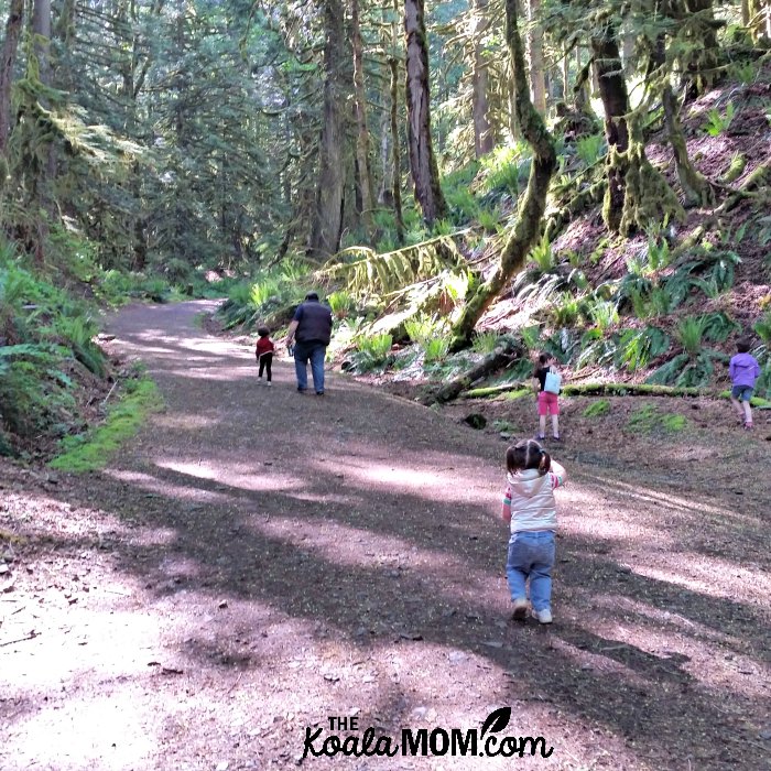 Family hiking the Teapot Hill trail at Cultus Lake.