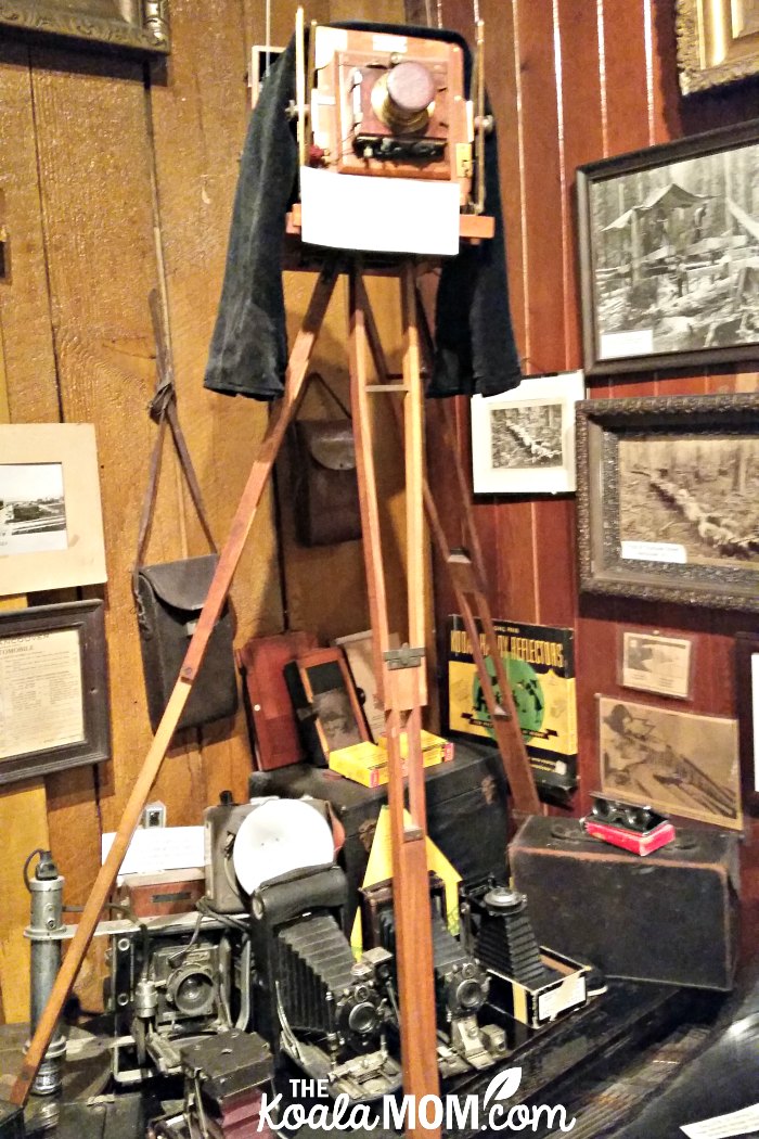 A collection of historical cameras at the Old Hastings Mill Store Museum.