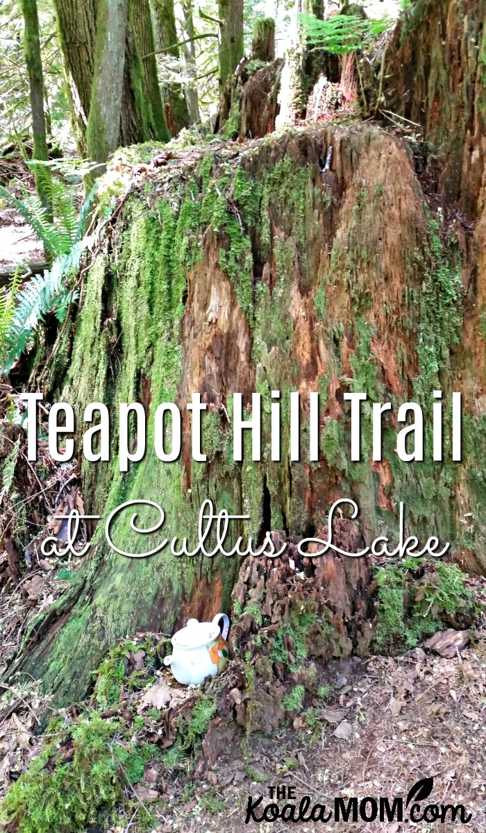 The Teapot Hill Trail at Cultus Lake