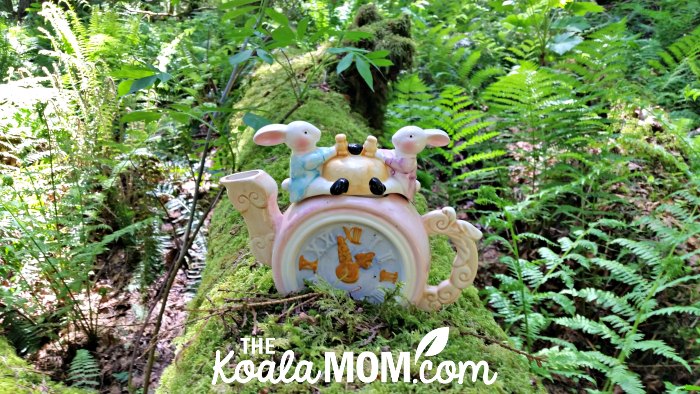 Teapot on a fallen log on the Teapot Hill Trail near Cultus Lake, BC, one of our favourite Family-friendly hikes around Greater Vancouver